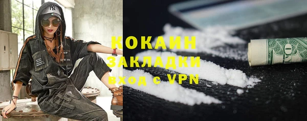 шишки Пестово