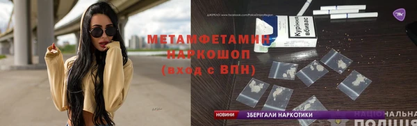 шишки Пестово